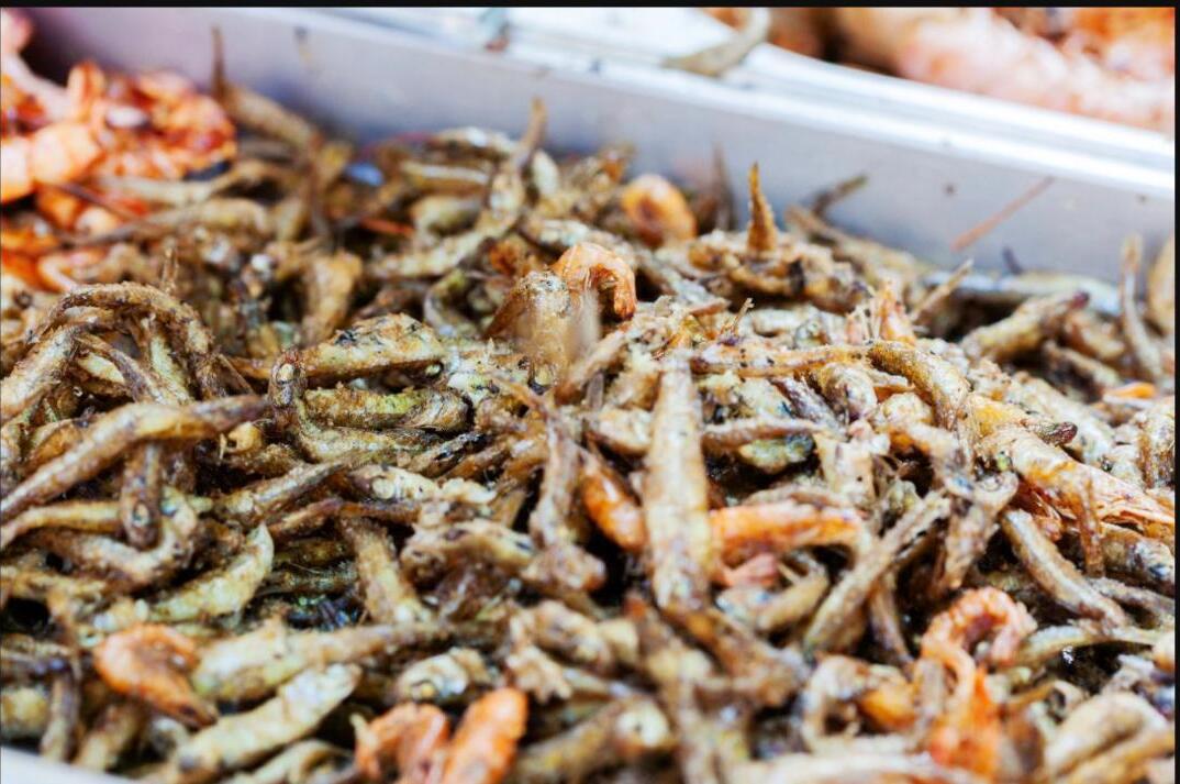 Frittura di Paranza Calamaretti, Latterini e Gamberetti